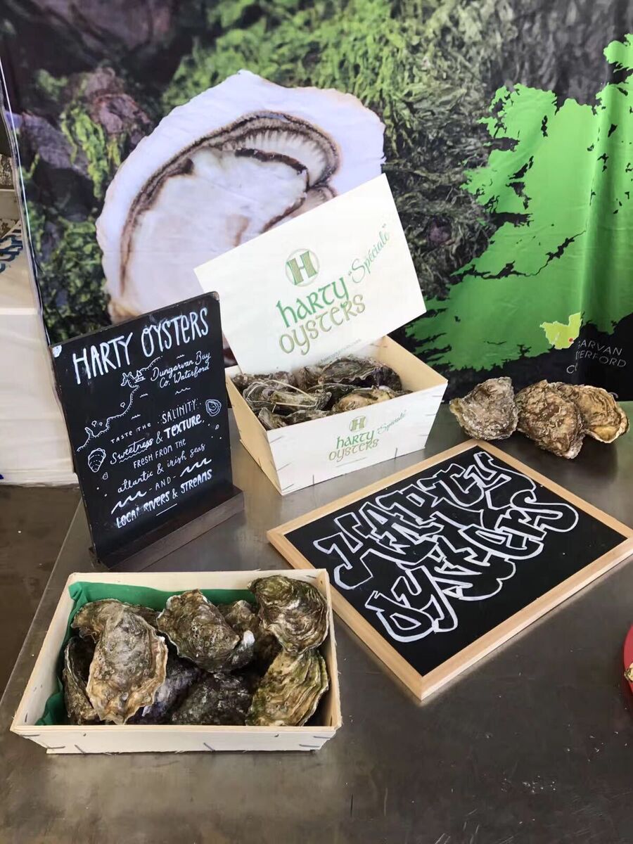An Rinn in Waterford's Gaeltacht is home to one of the country’s finest shellfish farms, Harty Oysters.