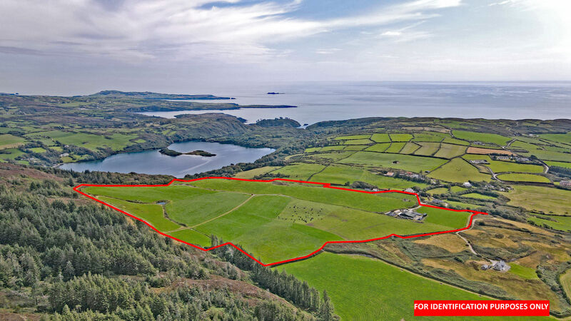 The 56-acre farm for sale at Pookeen, Baltimore, in west Cork,  near Lough Hyne and the Atlantic.