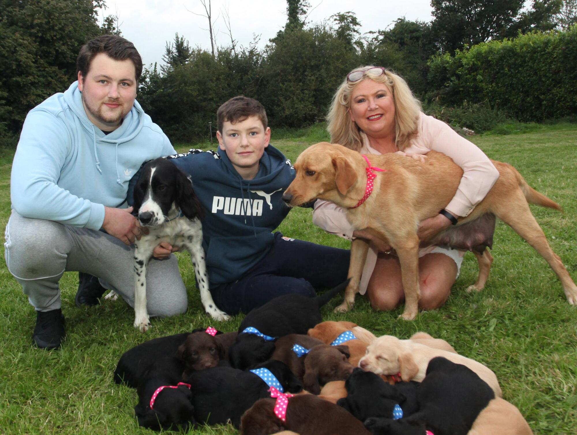 Dog escapes 'the snip' due to Covid - and gives birth to 16 puppies 