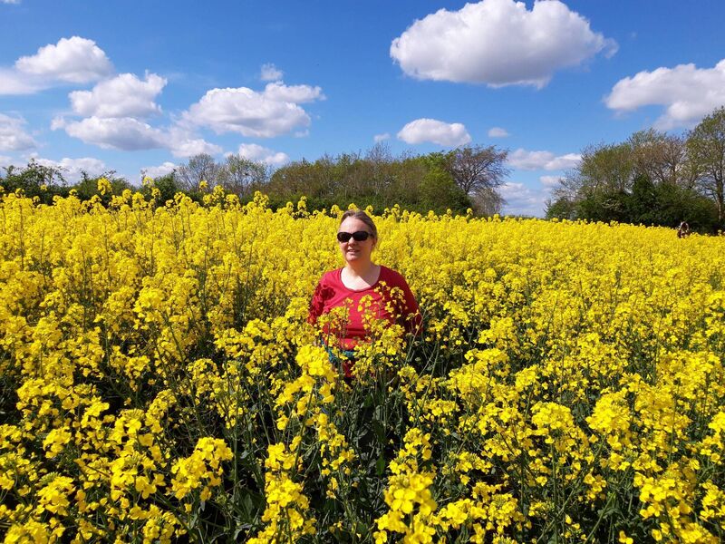 Sharon Greene, editor of Archaeology Ireland Magazine, in Paulgorra Field, south County Kildare. It was bought by her grandfather in the 1950sPicture: Stephen Douglas. Sharon Greene, editor of Archaeology Ireland Magazine, in Paulgorra Field, south County Kildare. It was bought by her grandfather in the 1950sPicture: Stephen Douglas.