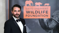 Wildlife Ball fundraiser