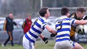 <p>File picture of Mark Collins and Ronan Walsh, Castlehaven, </p>