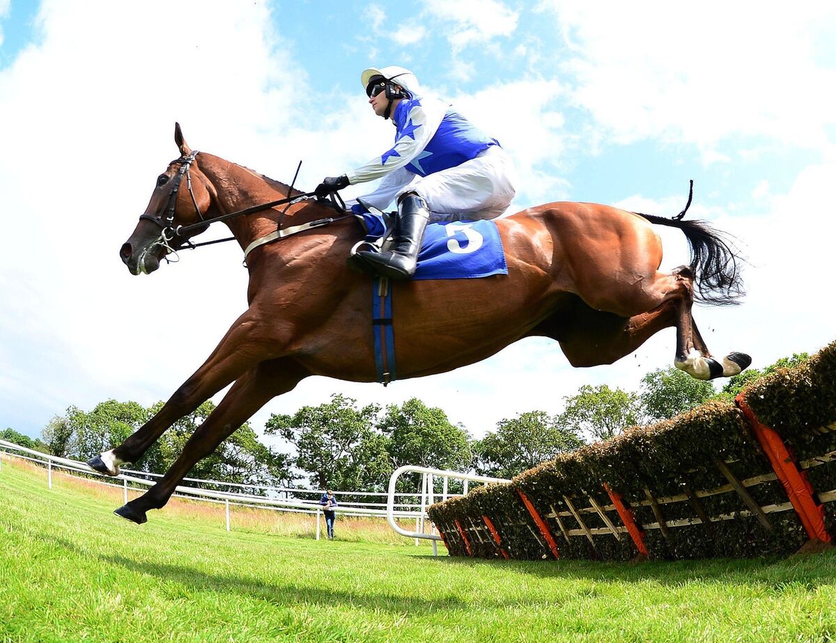 David Mullins in action. Picture: Healy Racing