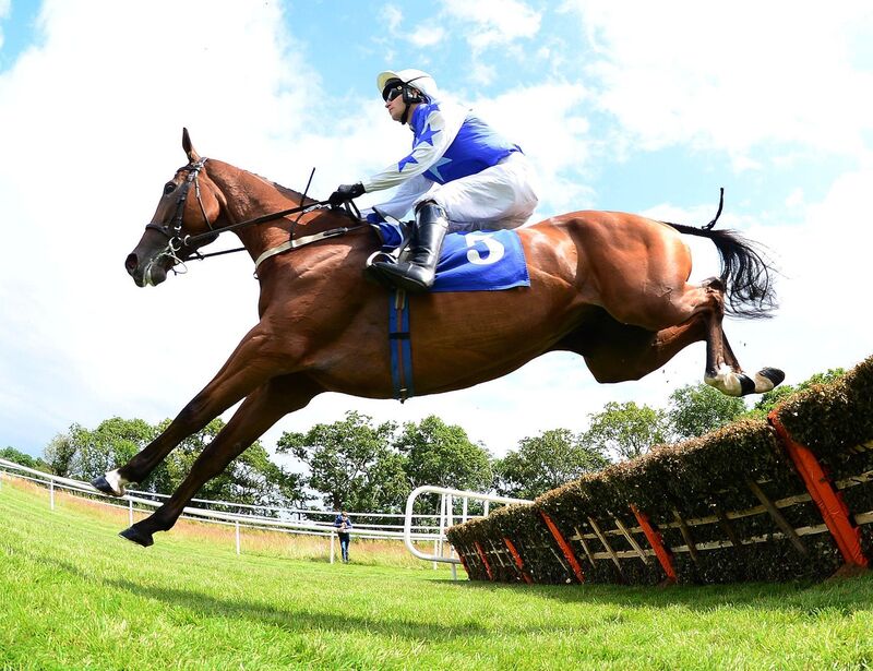 David Mullins in action. Picture: Healy Racing