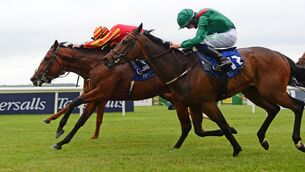 <p>King Of The Throne (far side) has a good opportunity to get off the mark at Navan today.</p>