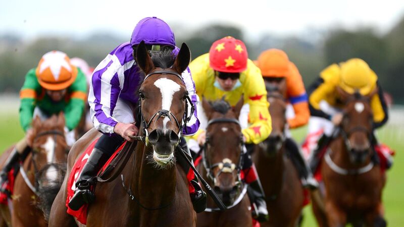 Cork maiden winners likely to make their mark at higher level