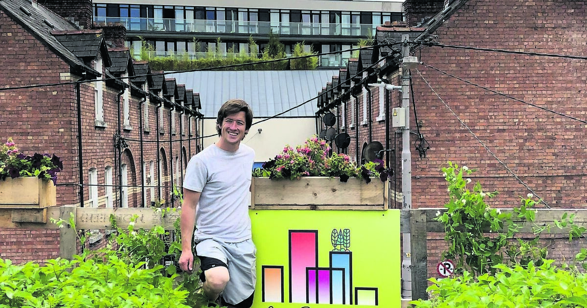 Cork Rooftop Farm urban agriculture taking root on Coal Quay