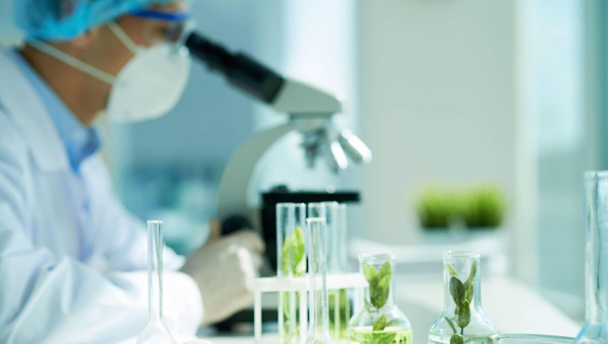 Many sectors of the Irish economy are performing well, particularly export-led sectors like pharma and med tech.