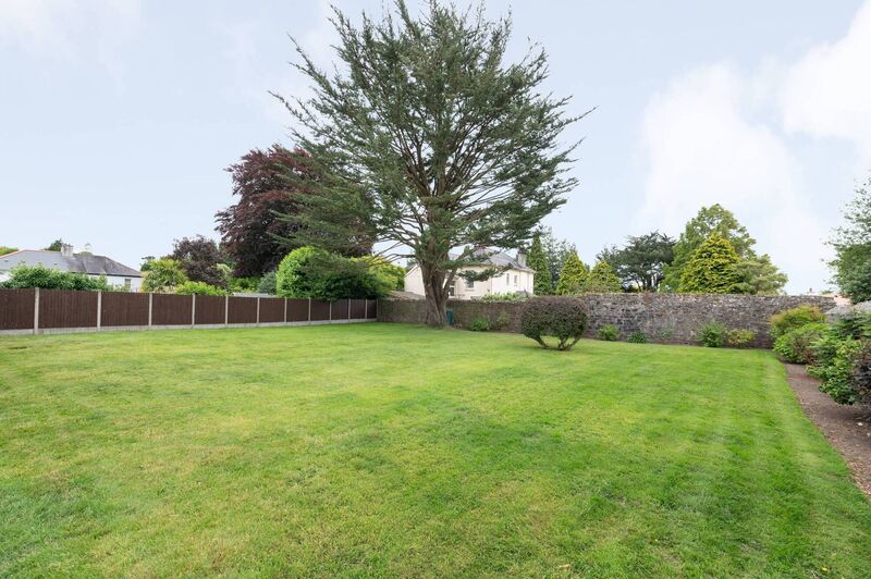 Monterey Cypress at Shamrock Place may well predate this 1948-built home