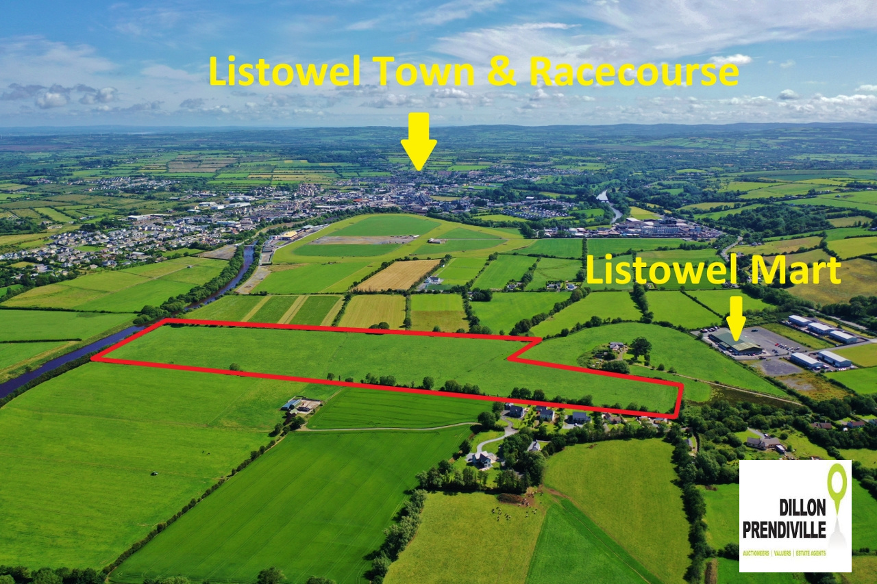 The Field: €17,000 per acre guide price for 30-acre pasture near Listowel