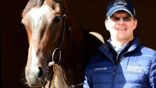 <p>Trainer Aidan O'Brien pictured with Peaceful ahead of Longines Irish Champions Weekend. Photo Healy Racing.</p>