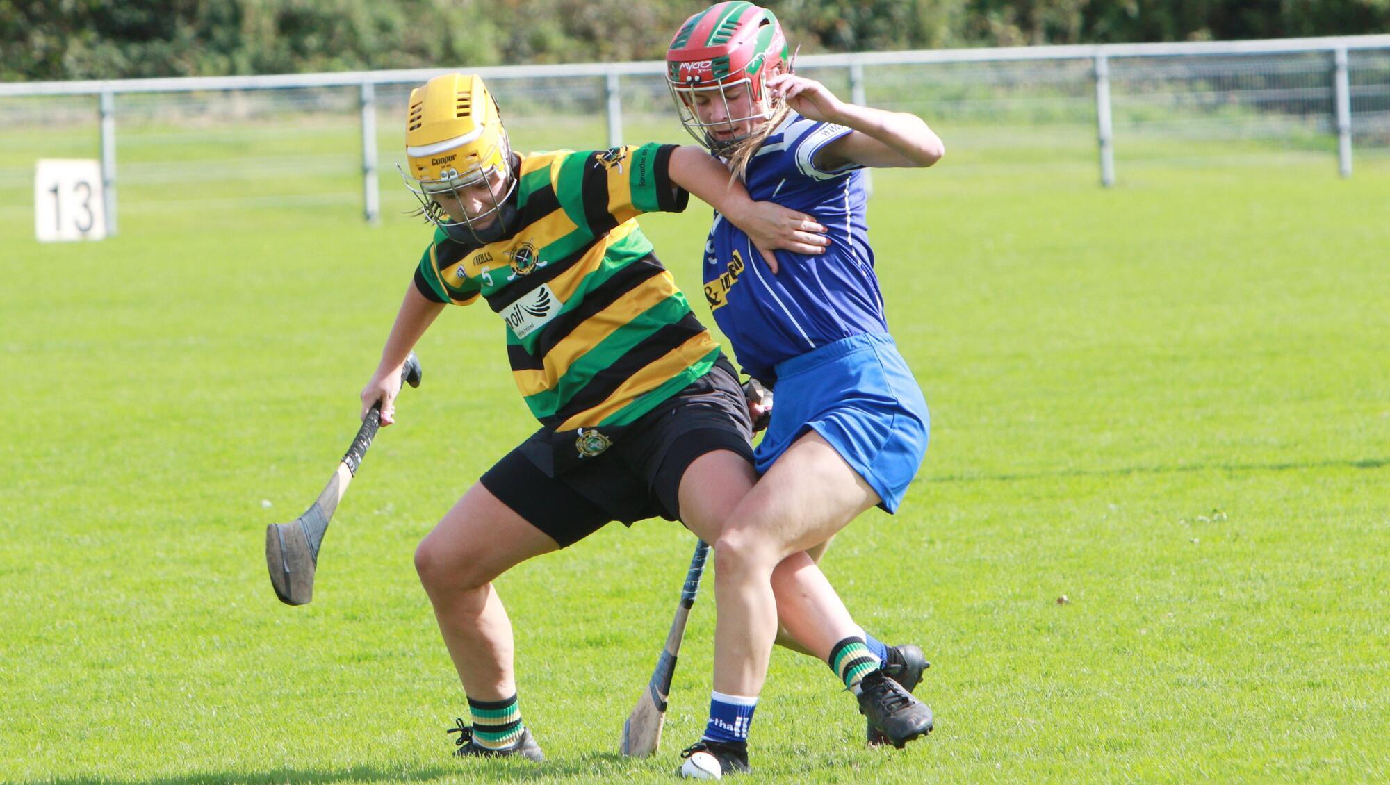Inniscarra edge out Glen Rovers to make Cork camogie's last four 