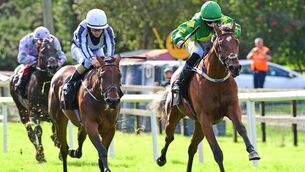 <p>Provocateuse (left) can get off the mark second time out in the Irish Stallion Farms EBF Maiden. Picture: Healy Racing</p>
