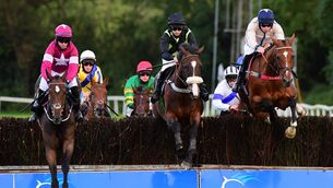 <p>The Echo Boy (right) can take the Beginners' Chase at Tramore. Picture:  Healy Racing</p>