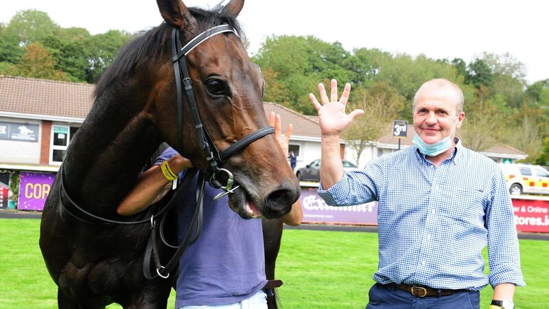 A Step Too Far digs exceptionally deep to keep winning run going