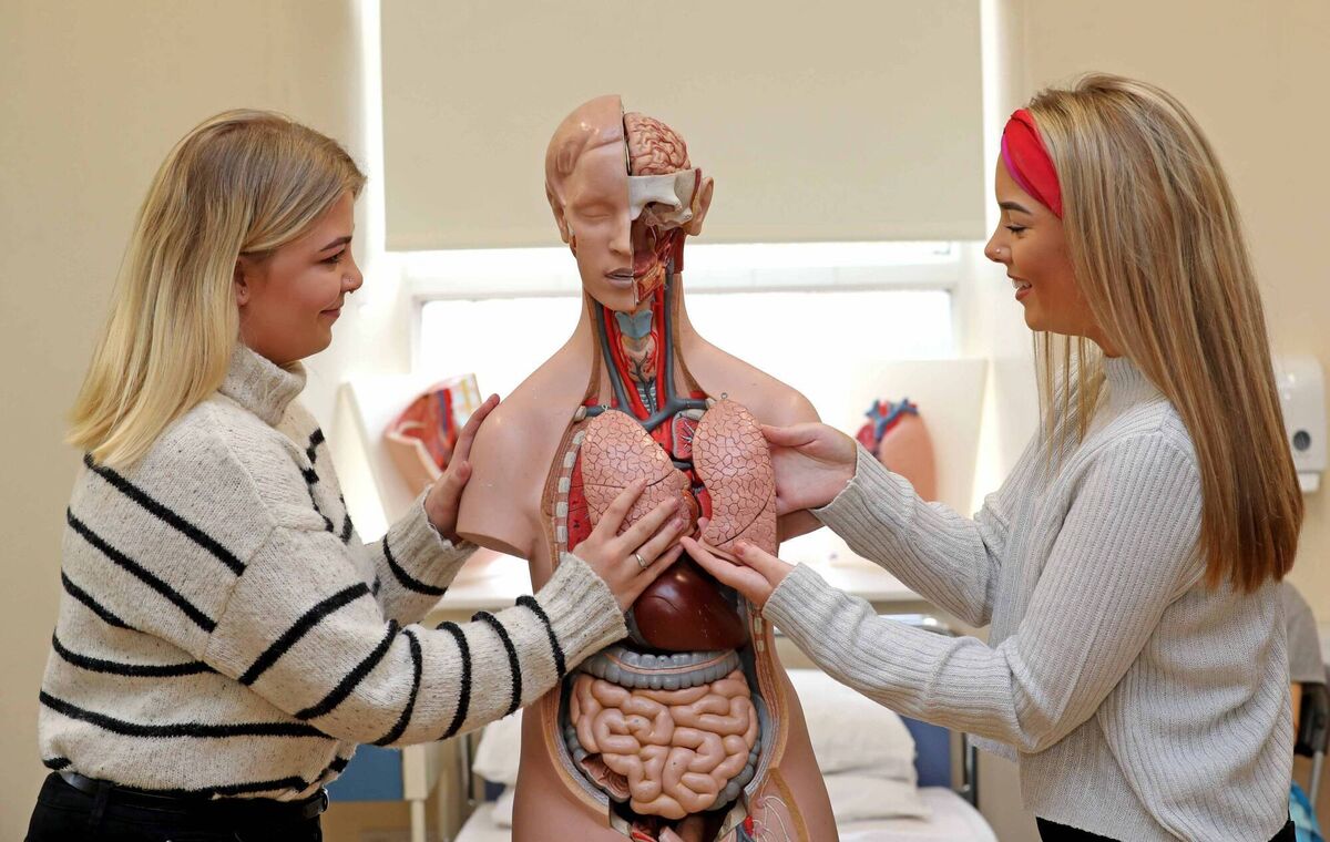 Find out if Nursing is for you with Nursing Studies at Cork College of Commerce. 