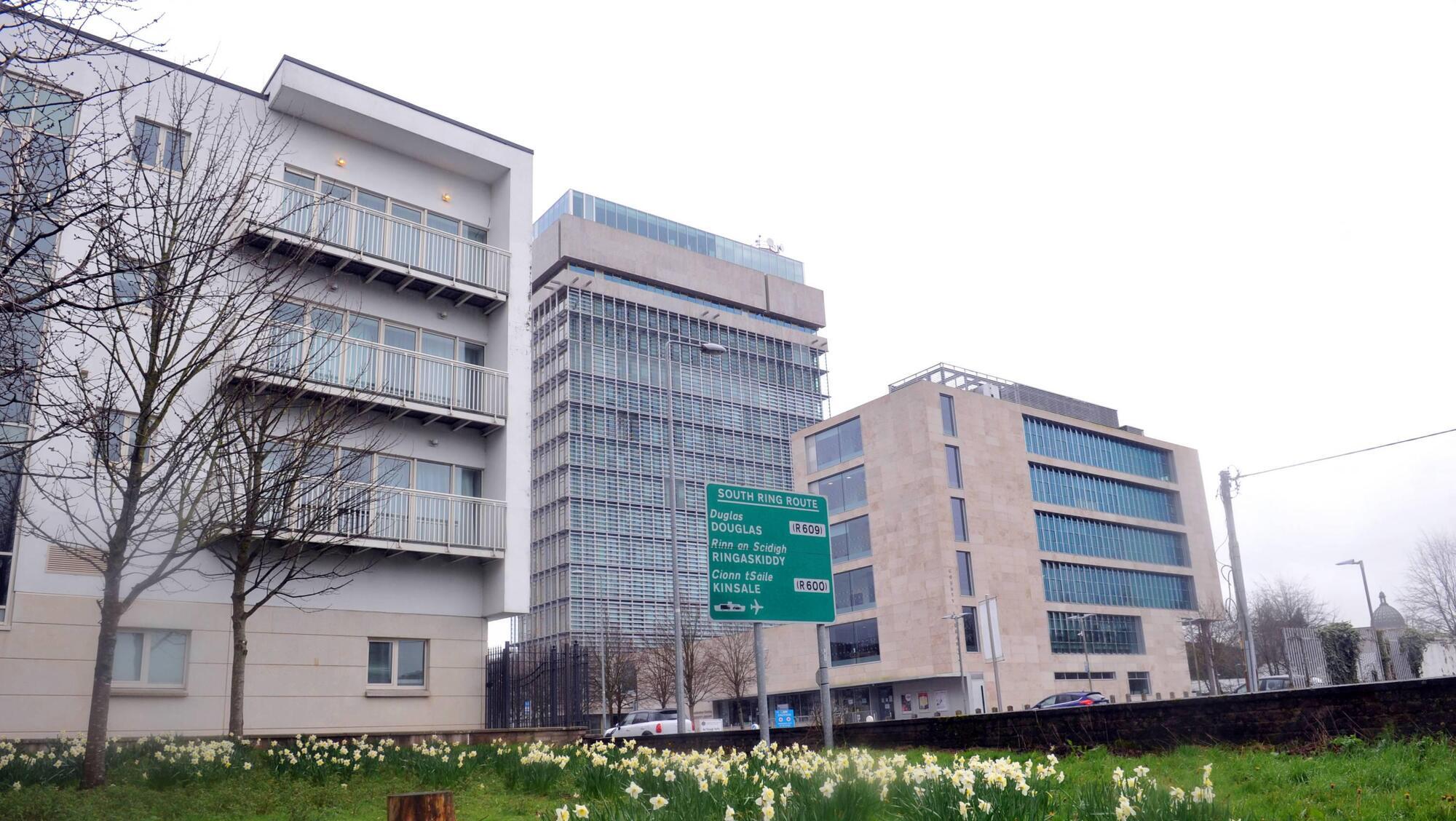 Generic stock image, The Lee Fields Cork. Cork County Hall, daffodils, Cork City and Cork County Councils. WE ARE CORK. Cork County Council library, local government, planning, flooding, Carrigrohane Road, Spring weather.