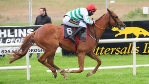 <p>Tullybeg: The form of his recent win has been boosted in the meantime. Picture: Healy Racing </p>