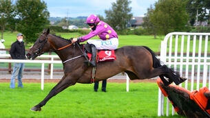 <p>Premium Package: Can follow up his runaway win in Down Royal by scoring at Navan. Picture: Healy Racing </p>