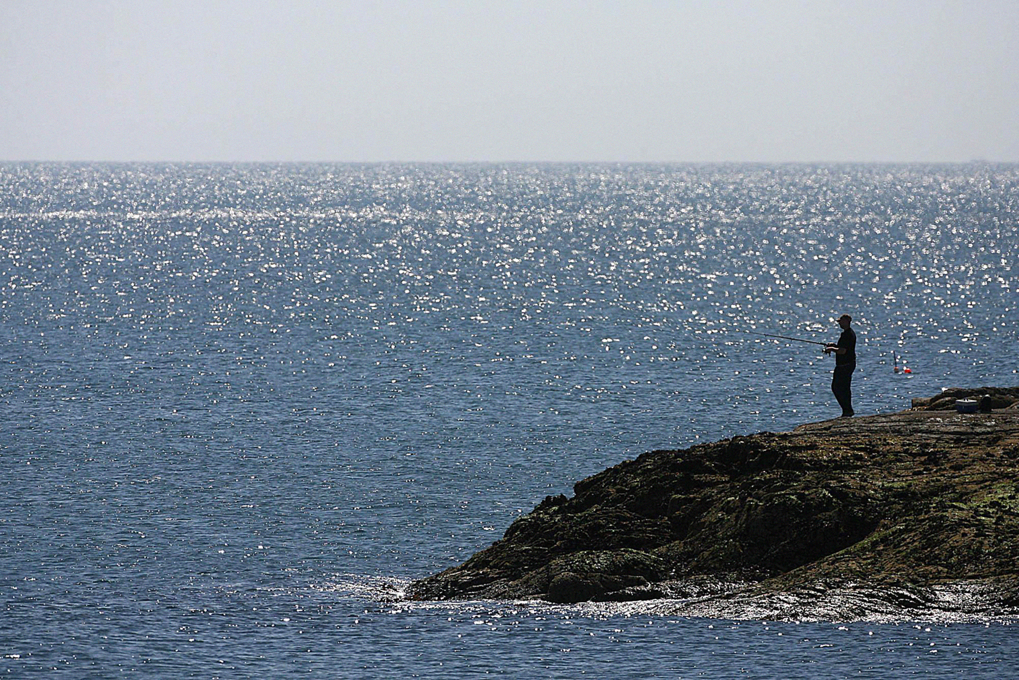 Public asked to avoid Co Down harbour while munitions recovered