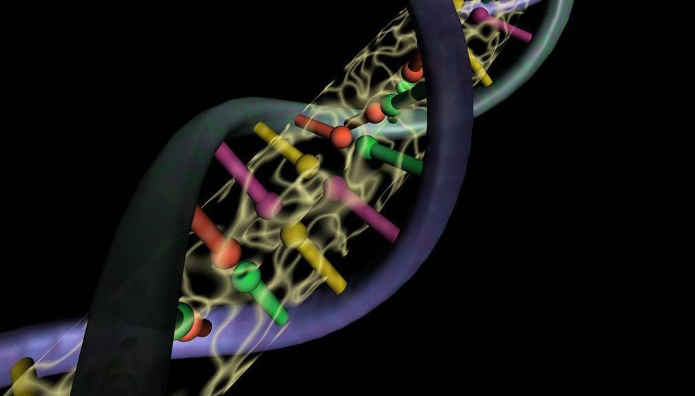 Scientists hopeful of drug breakthrough in combatting Covid-19