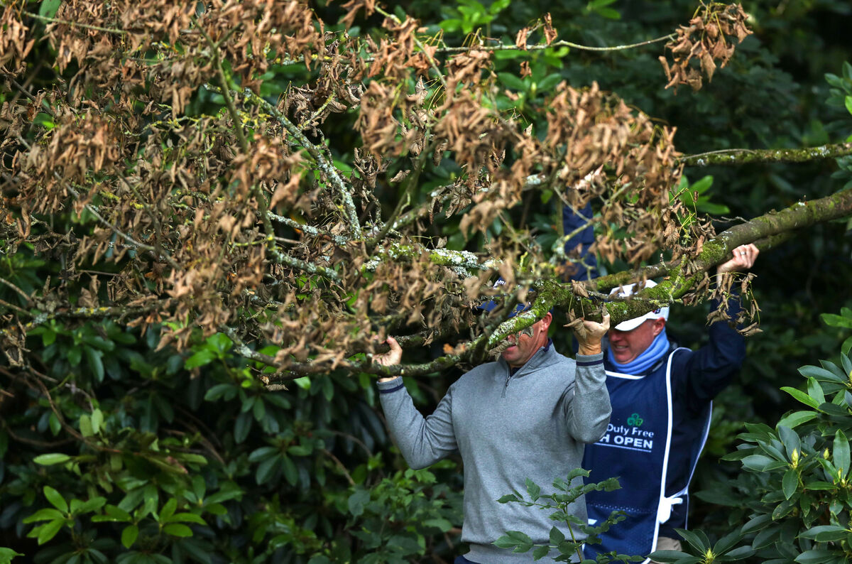 https://www.irishexaminer.com/sport/golf/arid-40054586.html