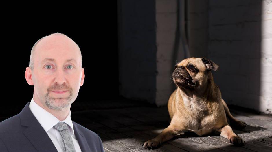Dr Dan O'Neill says the apparent rise in pet allergies could be caused by the changes in dog breeds we own, particularly flat-faced dogs like pugs.