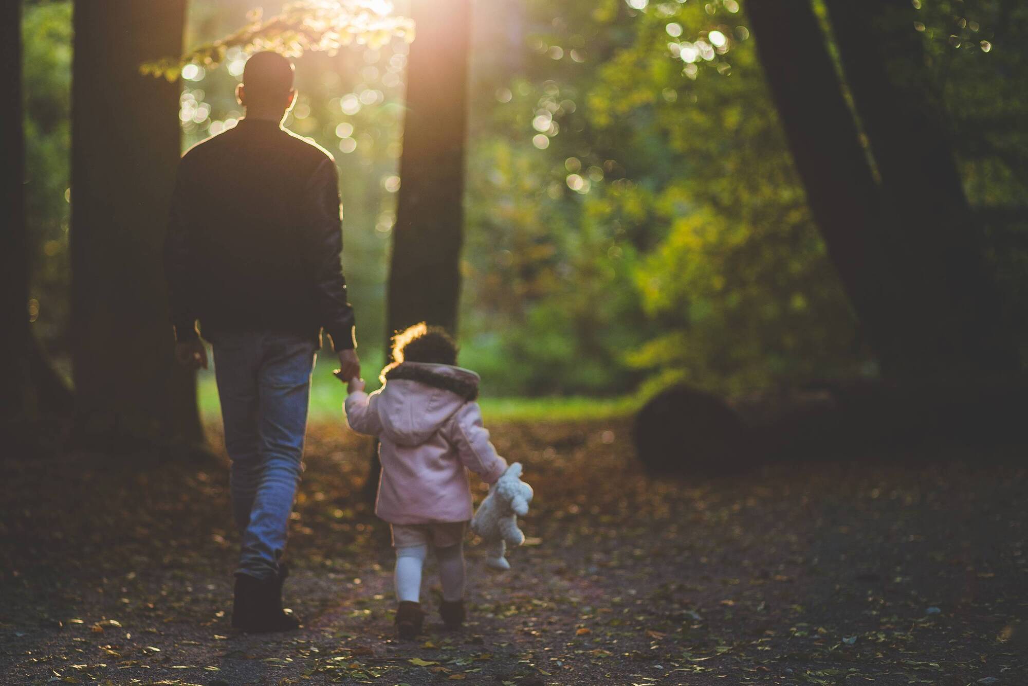8 things to find on your woodland walk