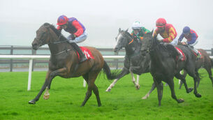 <p>Dance Jupiter (right) can make up for an unlucky defeat in Galway recently at the Curragh today. <span class="contextmenu emphasis">Picture: Healy Racing</span>
            </p>