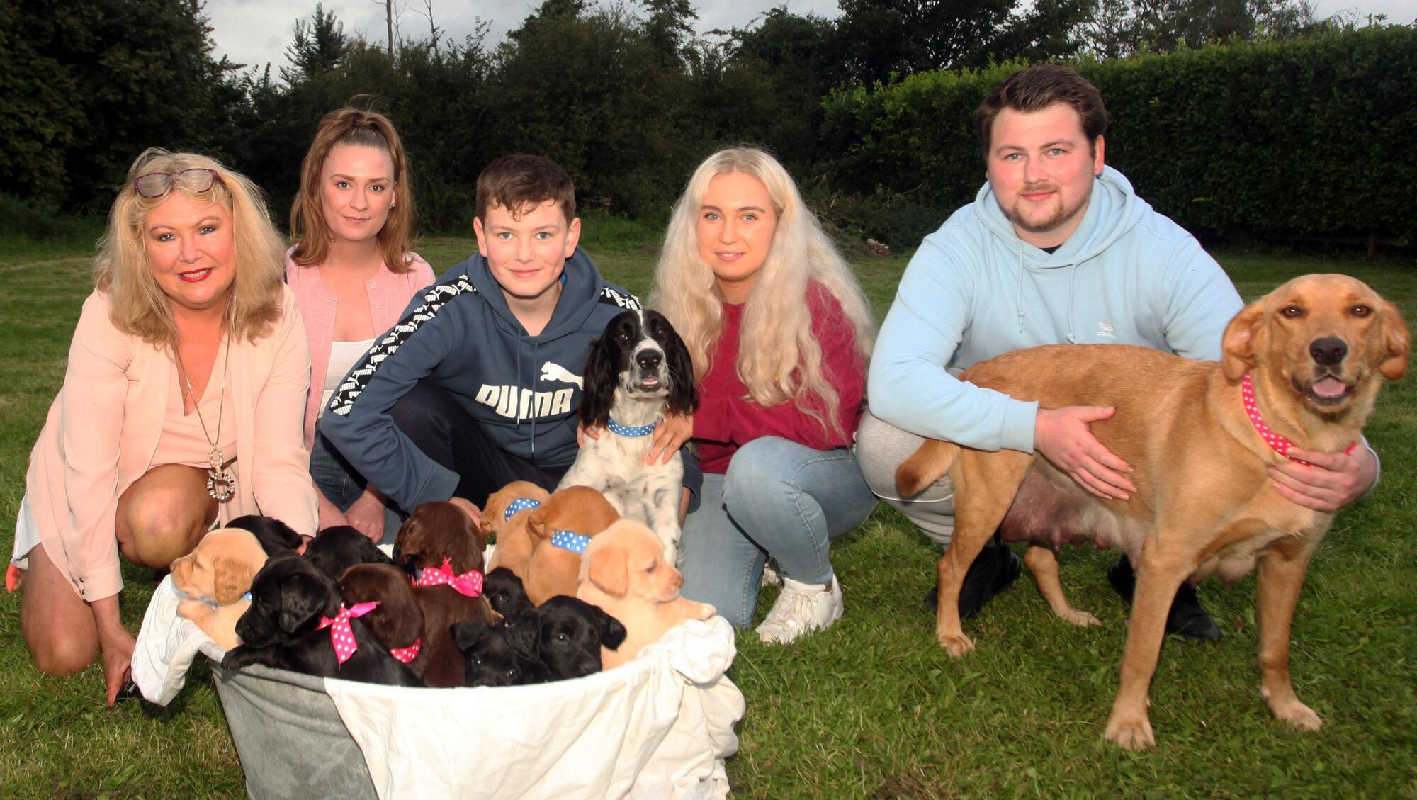 Dog snatchers attempt to steal record litter of puppies