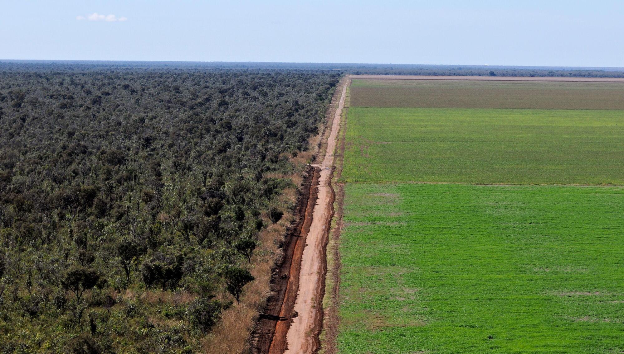 Terry Teegee: Earth is more than a source of revenue