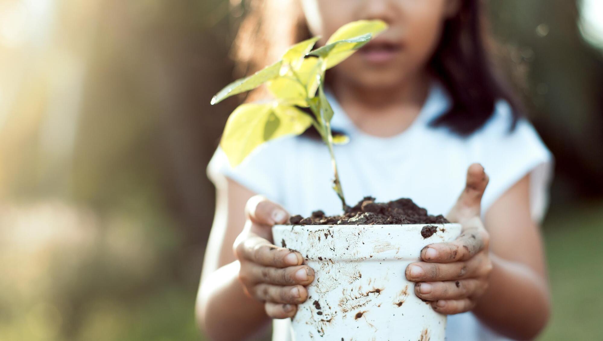 7 ways to get your hands on free plants