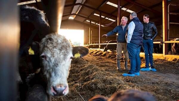 Dairy farmer Tim Crotty explaining his experiences with AlphaCalf Max to John Cullen and Sven de Louw.