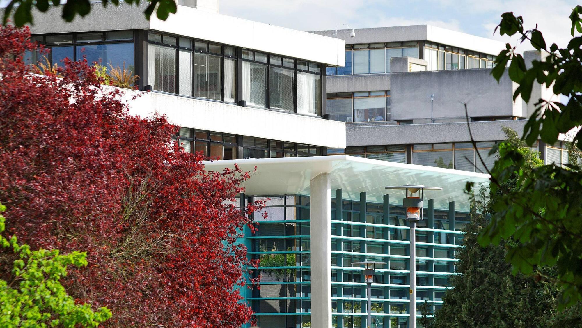 Woman suing UCD compares pain from lifting box of brochures to 'being stabbed in the neck'