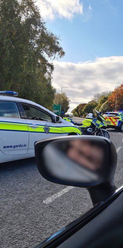 Watch: Runaway cow forces closure of busy Cork road