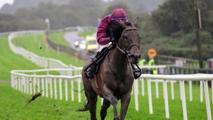 <p>Erins Benefit will be helped by dropping back to two miles today. Picture: Healy Racing</p>