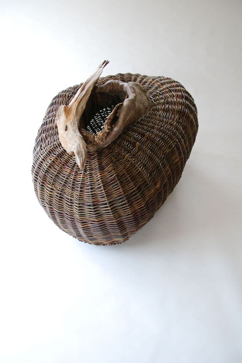  Homage to the tree, by Joe Hogan.