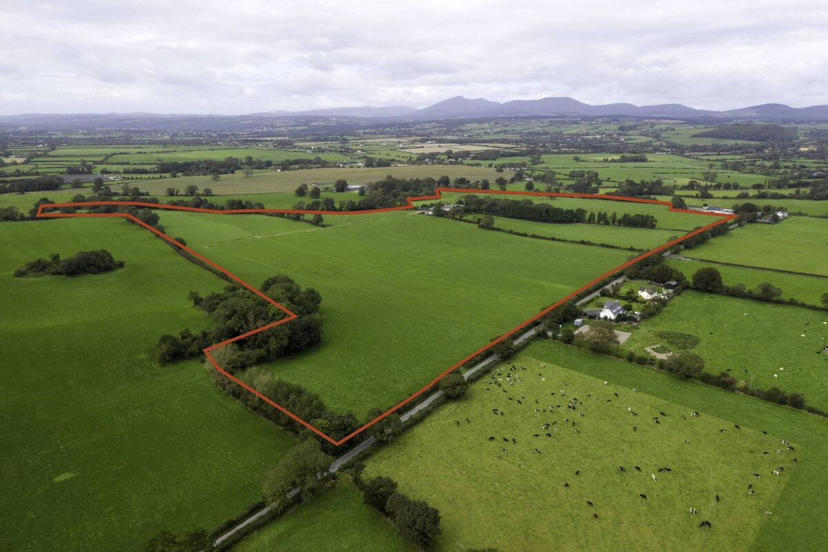 Fields at Ballynahemery in Dungarvan.