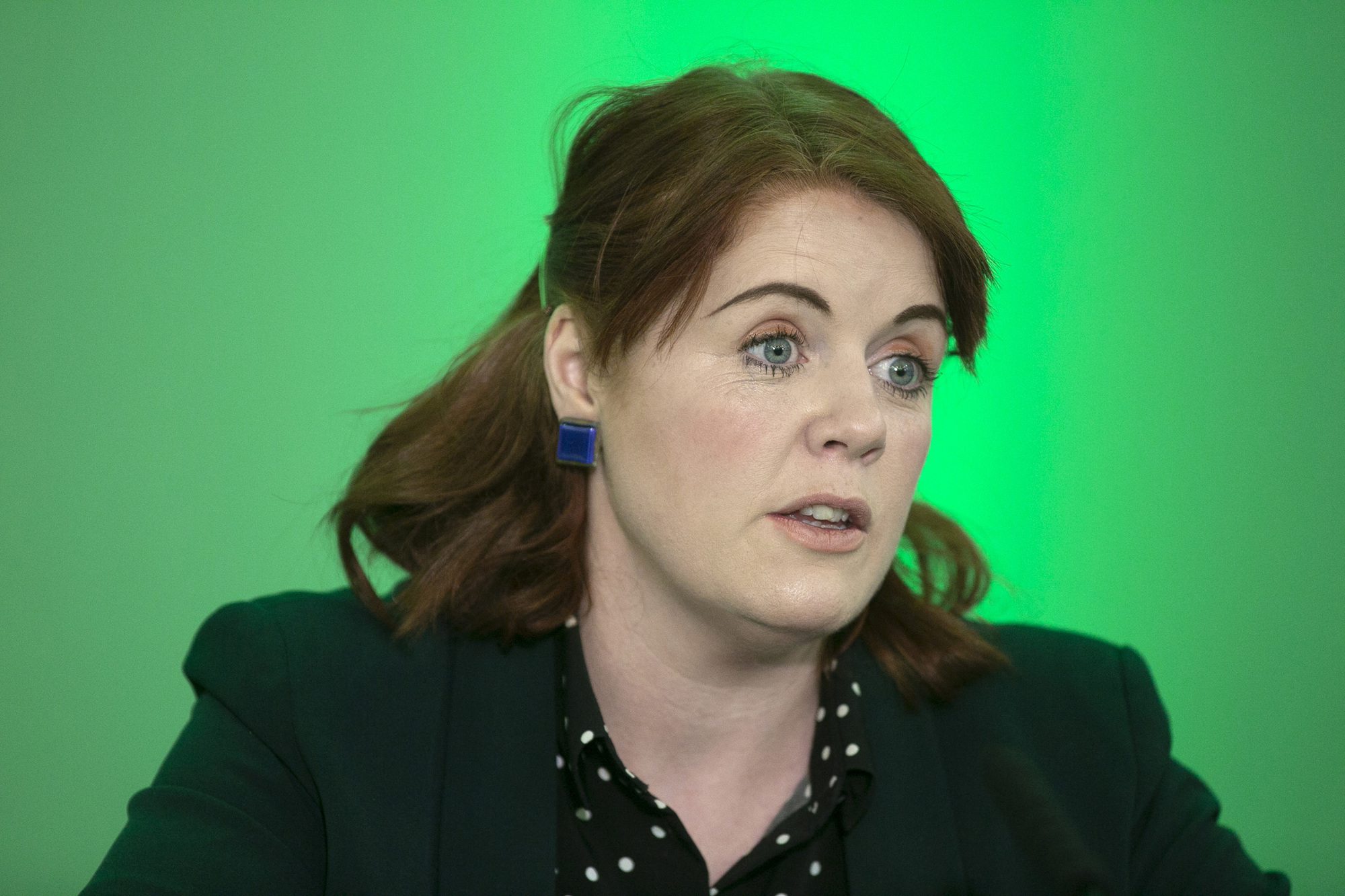 The Green Party TD said Ireland cannot individually change laws on petrol and diesel cars without formally notifying the EU of the change. Photo: Sam Boal/Rollingnews.ie