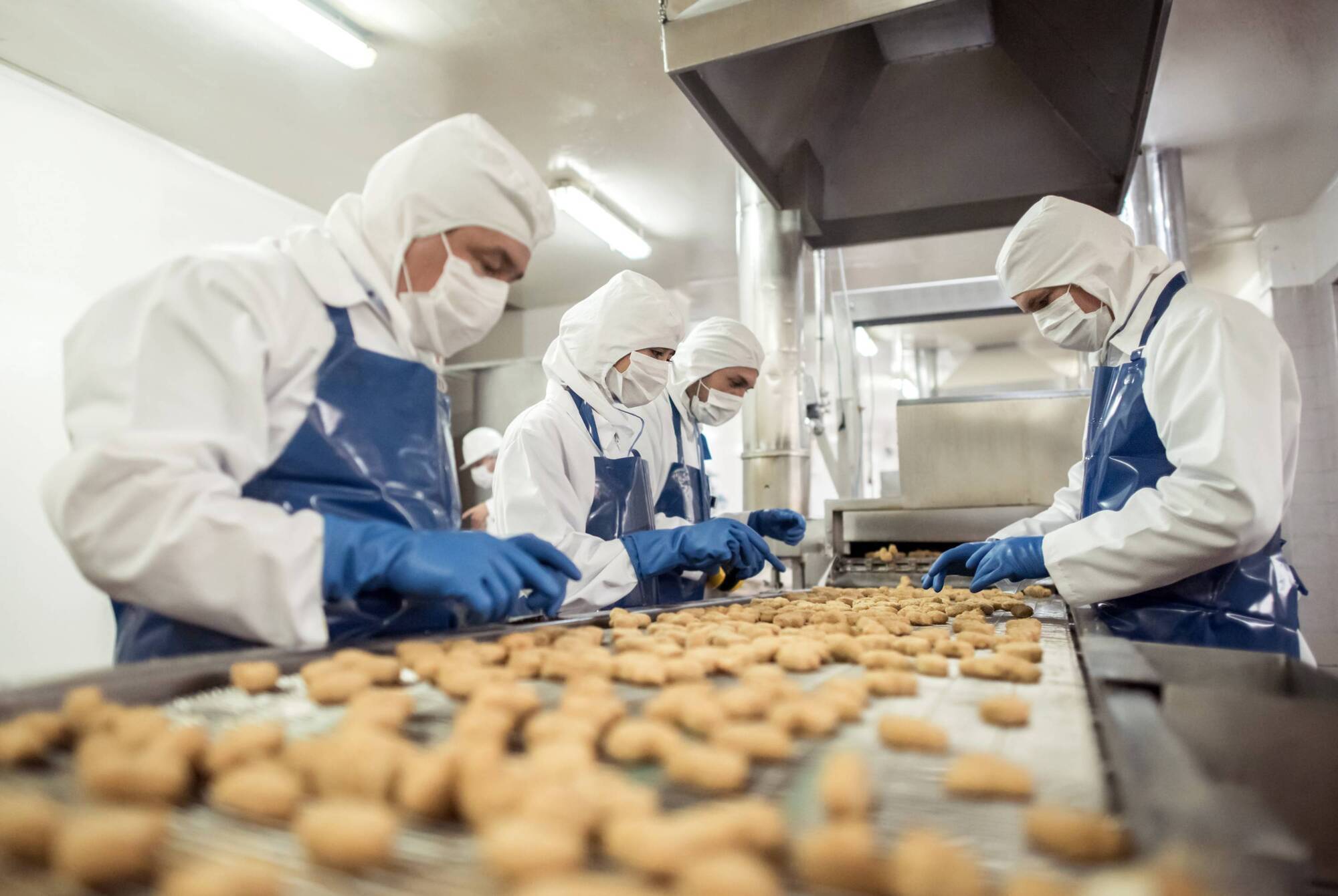 Rapid response across EU stems foodborne illness outbreaks