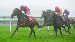 <p>Dance Jupiter (right) can get off the mark for Joseph O'Brien in Limerick. Picture: Racing Racing</p>