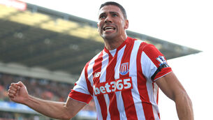 <p>Jonathan Walters played 226 Premier League games with Stoke City. Photo: Nigel French/PA</p>