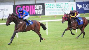 <p>Dreal Deal (left) will be a short price to land the finale at Cork after landing a gamble at Navan last month and following up at Limerick. Picture: Healy Racing </p>
