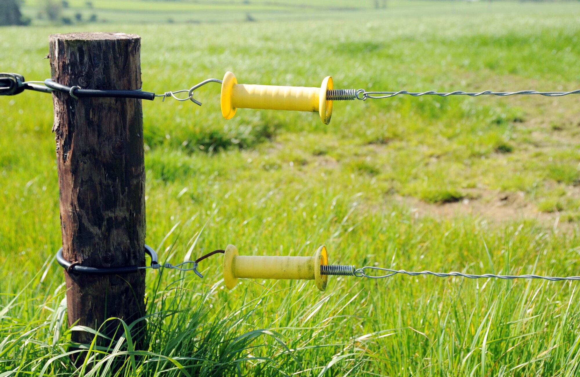 Budget 2021: Stamp Duty relief extension will help young farmers