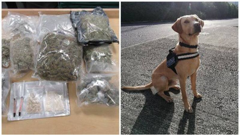 Detector dog Bailey discovers €38,000 of illegal drugs in mail centre