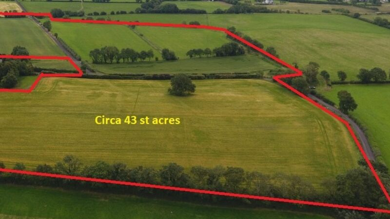 43-acre arable holding near Adare and Limerick pitched at €10,000 per  acre