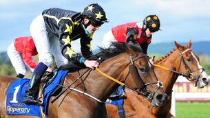 <p>South Forest (far side) can take advantage of a good draw at Gowran Park. Picture:Healy Racing </p>