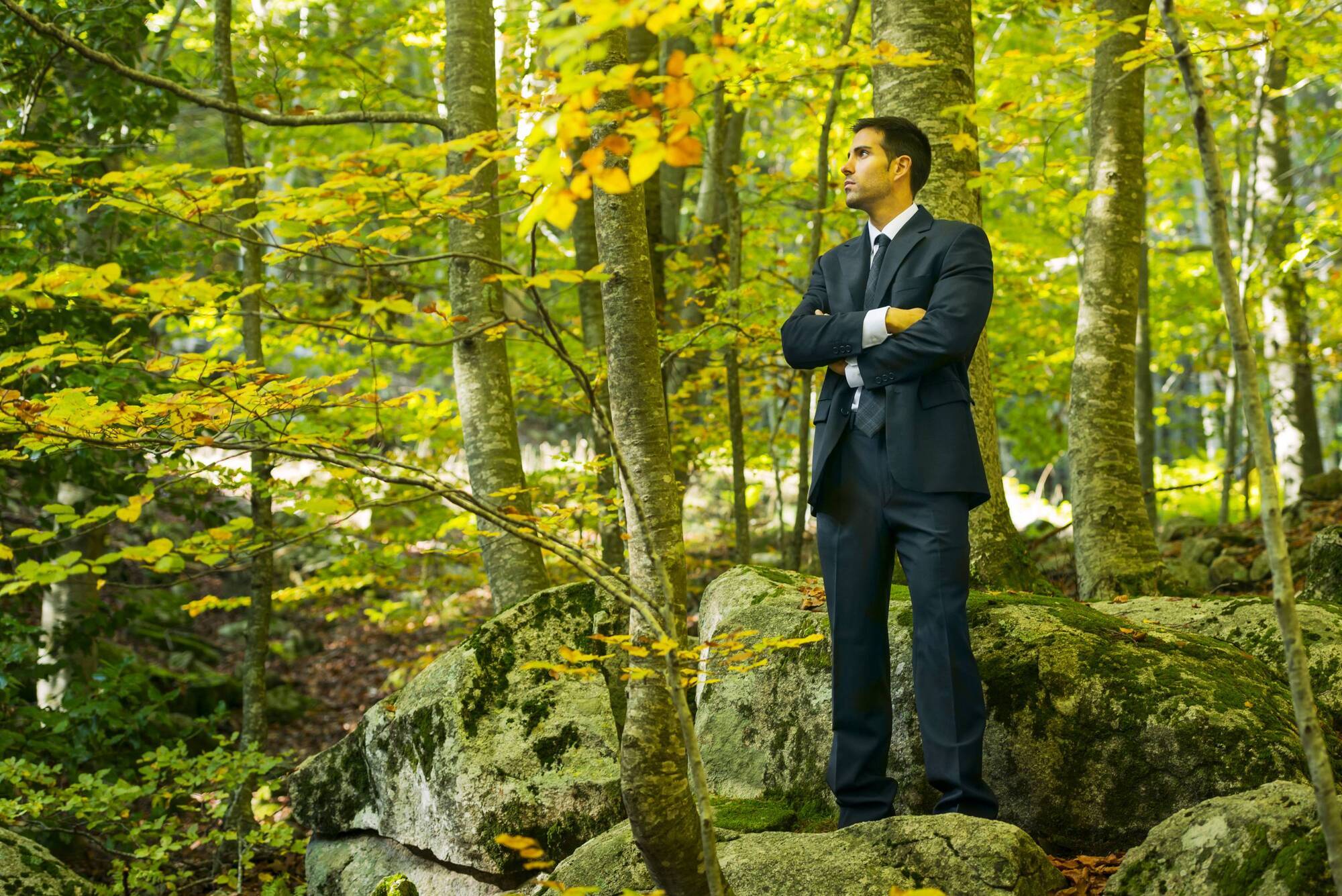 Get a NIS if you want a forestry licence