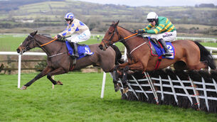<p>Captain Guinness (far side) has the potential to go right to the top as a chaser. Picture: Healy Racing </p>