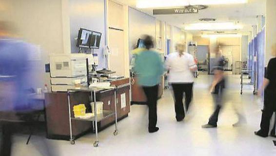 Working in the State public health services would only be permitted if applicants held the necessary qualifications, however. Picture: File photo